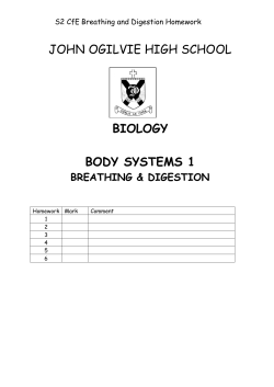 pdfBreathing and Digestion Homework 199 KB