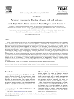 Antibody response to Candida albicans cell wall antigens