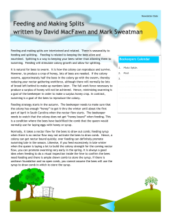Feeding and Making Splits written by David MacFawn and Mark