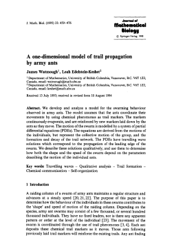 A one-dimensional model of trail propagation by army ants