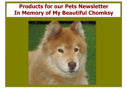 Chomsky Newsletter 2015