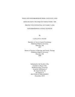 peer and neighborhood risk contexts, and adolescents` delinquent