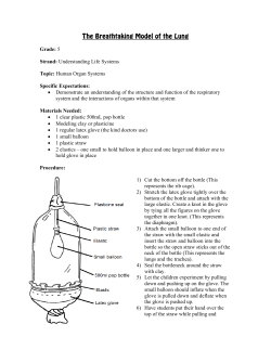 The Breathtaking Model of the Lung
