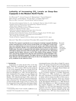 as a PDF