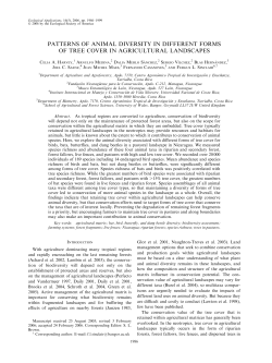 PATTERNS OF ANIMAL DIVERSITY IN DIFFERENT FORMS