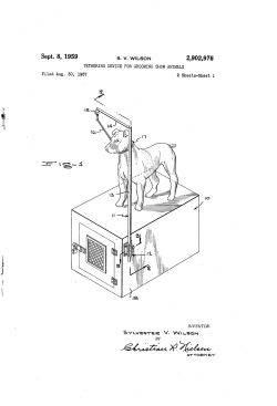 Tethering device for grooming show animals