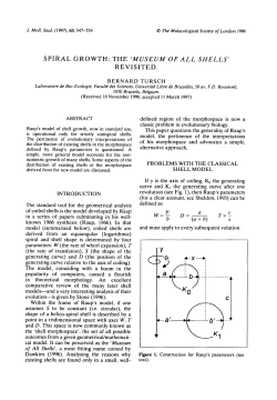 SPIRAL GROWTH: THE `MUSEUM OF ALL SHELLS` REVISITED.