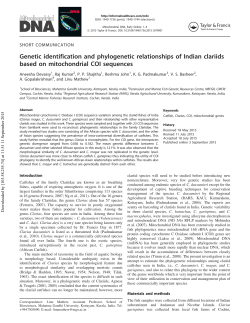 Genetic identification and phylogenetic relationships of Indian
