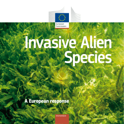 A European response - European Commission