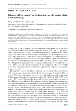 Influence of light intensity on the ingestion rate of a marine ciliate