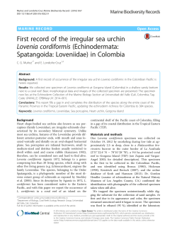 First record of the irregular sea urchin Lovenia cordiformis