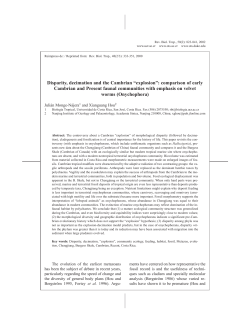 Disparity, decimation and the Cambrian &ldquo;explosion&rdquo;: comparison of
