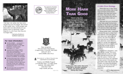 More Harm than Good