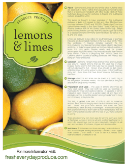 6_LEMON_LIME_FLR - web - Fresh Everyday Produce