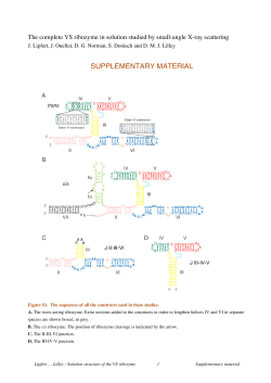 Supplementary information PDF