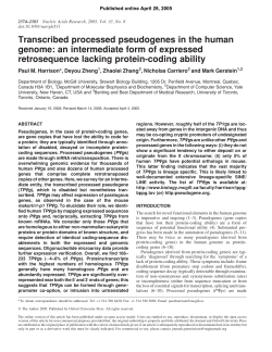 Transcribed processed pseudogenes in the human genome: an