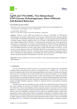 AglM and VNG1048G, Two Haloarchaeal UDP-Glucose