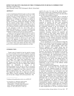 EFFECT OF GRAVITY CHANGES ON THE CYTOSKELETON IN