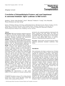 Correlation of histopathological features and renal impairment in