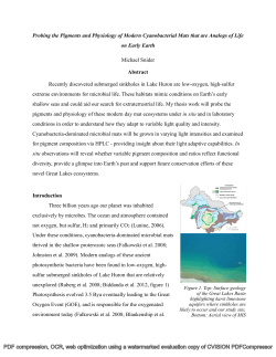 Probing the Pigments and Physiology of Modern Cyanobacterial