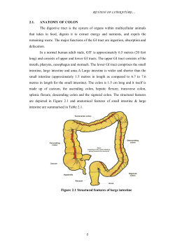 REVIEW OF LITERATURE&hellip; 5 2.1. ANATOMY OF COLON The