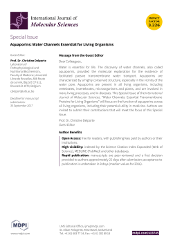 Print Special Issue Flyer