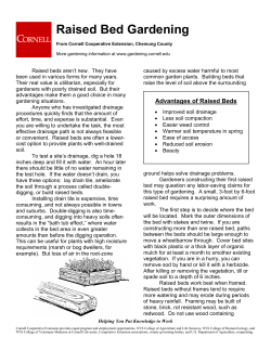 Raised Bed Gardening - Cornell Cooperative Extension of