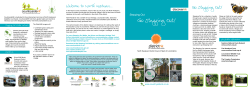Go Stepping Out! - Visit Lincolnshire