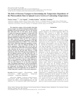 The Role of Electron Transport in Determining the Temperature