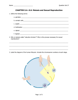 Meiosis and Sexual Reproduction