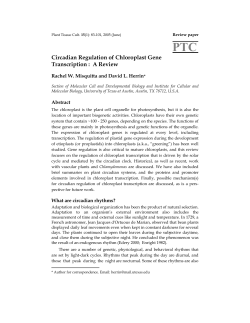 Circadian Regulation of Chloroplast Gene Transcription