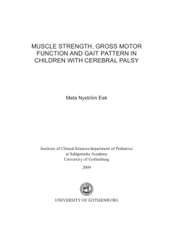 muscle strength, gross motor function and gait pattern in