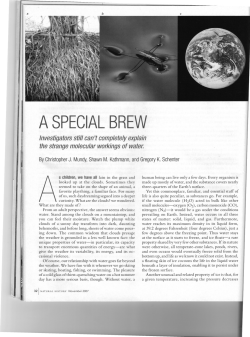 A SPECIALBREW