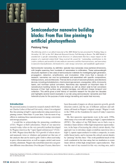 Semiconductor nanowire building blocks: From flux line pinning to