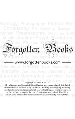 The Flyi - Forgotten Books