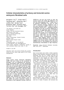 Cellular characteristics of primary and immortal canine