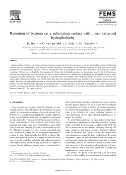 Retention of bacteria on a substratum surface with micro