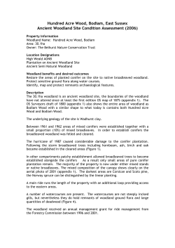 Hundred Acre Wood, Bodiam, East Sussex Ancient Woodland Site