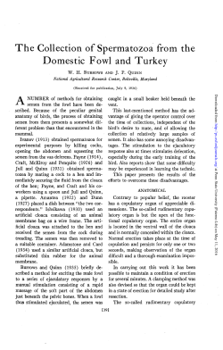 as a PDF - CiteSeerX