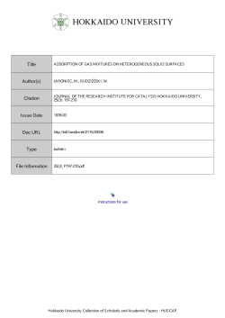 ADSORPTION OF GAS MIXTURES ON HETEROGENEOUS SOLID