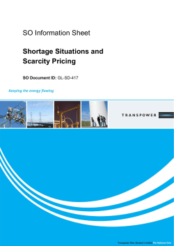 Shortage Situations and Scarcity Pricing