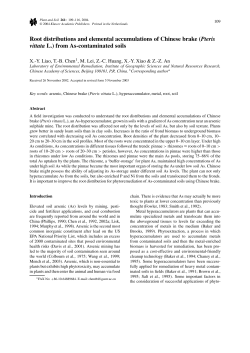 Root distributions and elemental accumulations of Chinese brake