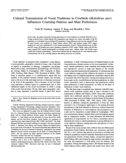 Cultural Transmission of Vocal Traditions in Cowbirds (Molothrus ater)
