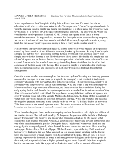 Maples Under Pressure, March 2009