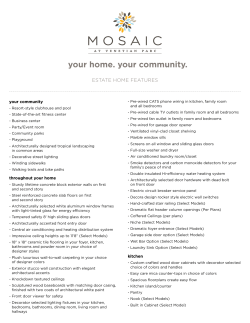 Estate Home - Features - Mosaic at Venetian Parc