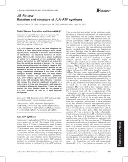 Rotation and structure of FoF1