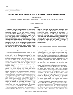 Effective limb length and the scaling of locomotor cost in terrestrial