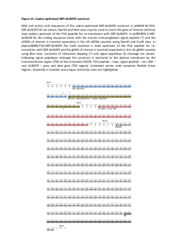 Sequence S1.