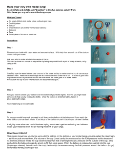 Model Lung Activity
