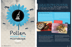 Have you ever looked closely at a flower and seen some powdery